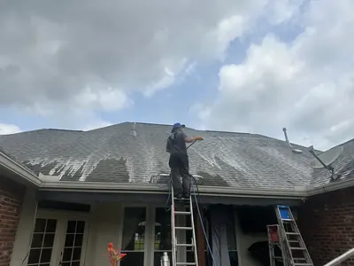 Soft washing algae off a shingle roof